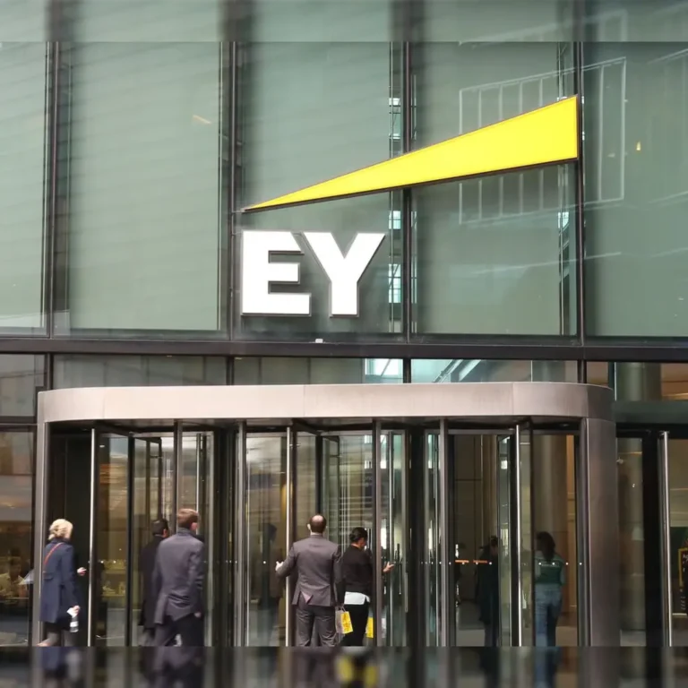 EY Earnest and Young Academy